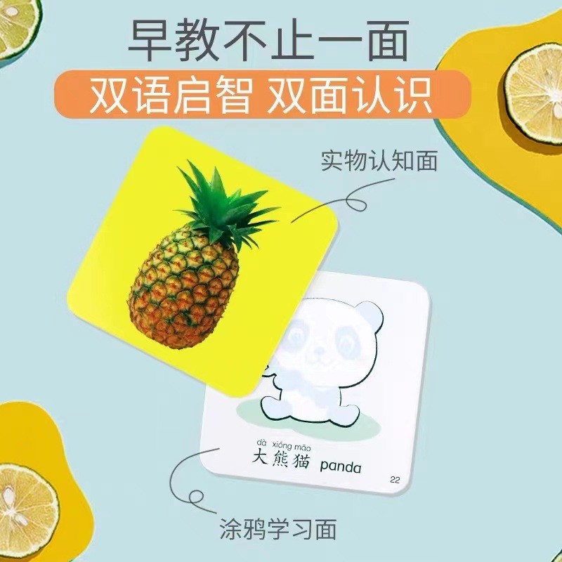 撕撕书早教必备